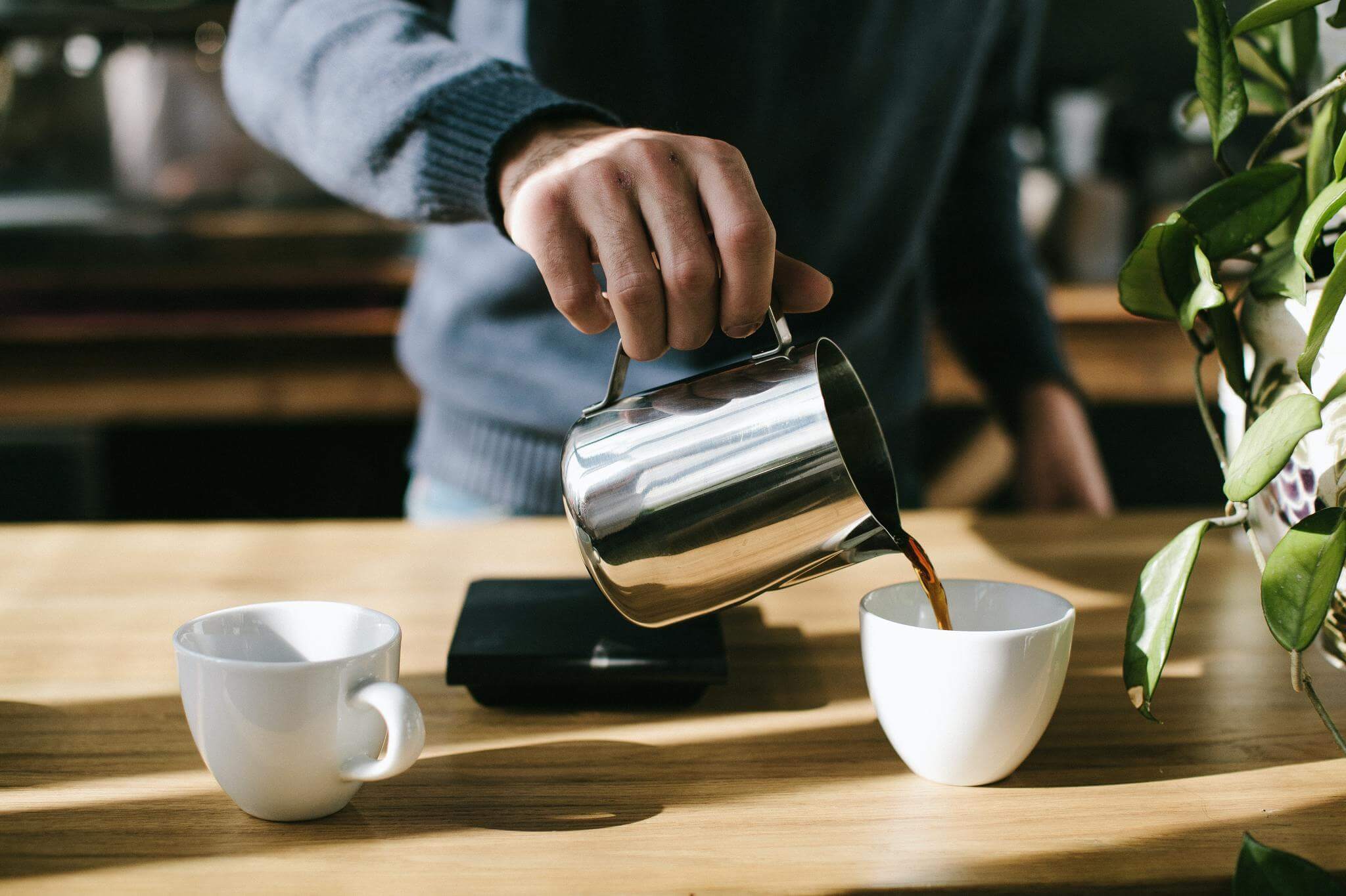 Brain-Boosting Brew: The Harmony of Lion’s Mane & Chaga Coffee - Selfsync