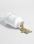 Ginkgo Biloba + Ginseng - Selfsync